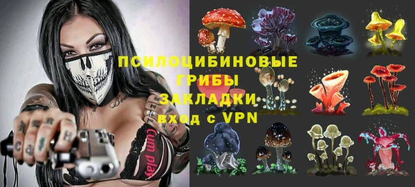 МДПВ Арсеньев